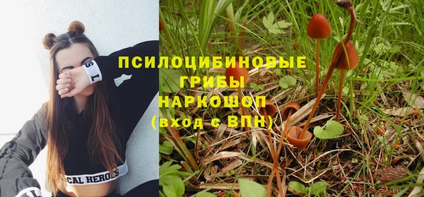 2c-b Беломорск