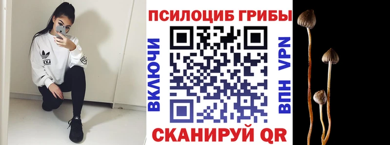 Галлюциногенные грибы прущие грибы  купить наркотики сайты  Давлеканово 